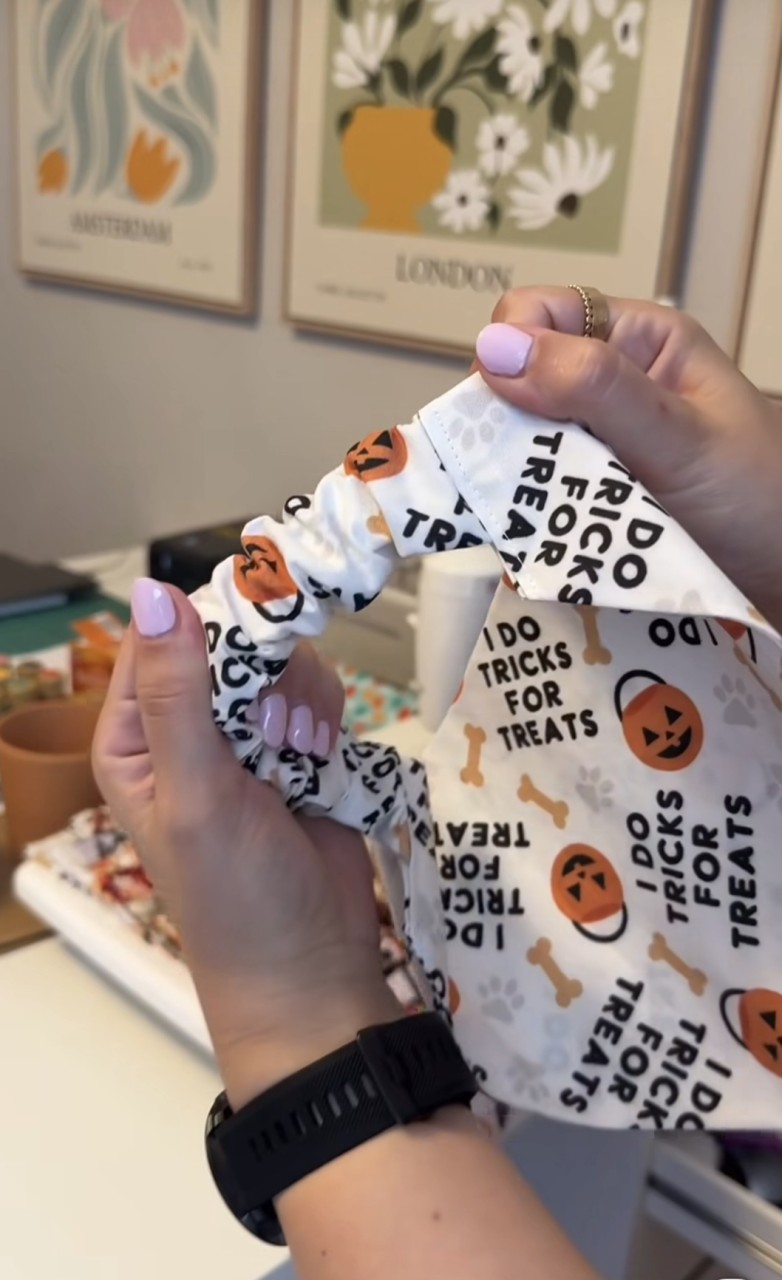 Pet Bibs